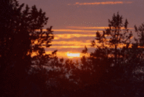 最美夕阳红动态图片