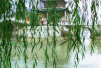 园林湖边垂柳风景图片