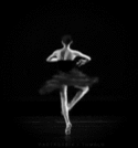 芭蕾舞黑天鹅图片