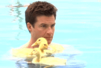男子和小黄鸭游泳图片