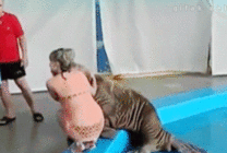 海狮拍屁股视频图片