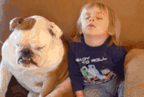 小孩和狗狗打瞌睡图片