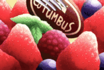 叉子叉鲜红草莓动画图片