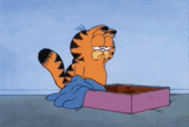 犯困的加菲猫动漫图片