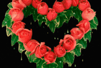 心型玫瑰花环唯美图片