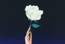 一朵白玫瑰花动画图片