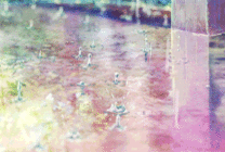 雨水滴落动画图片