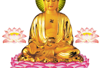 坐在莲花上的佛祖gif图片