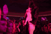 夜店里跳辣舞的女人gif图片