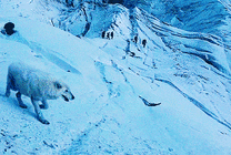 孤狼下山GIF图片