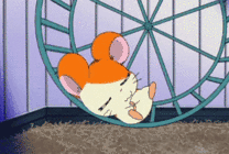 悠闲自在的小仓鼠动画图片
