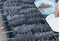 烧烤美味的海鲜海参看着很慎人啊gif图片
