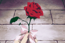 被燃烧的玫瑰花动画图片
