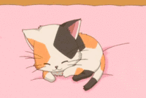 萌萌的小可爱猫咪动画图片
