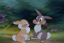 兔子的浪漫爱情动画图片