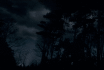 月黑风高的晚上gif图片