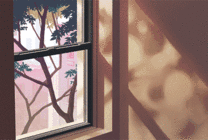 窗外透过暖暖的阳光动画图片