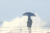 逗比打着雨伞站在海边海海浪GIF动态图