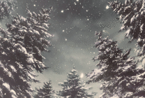 森林大雪飘落动画图片