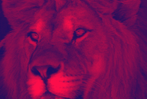 狮子的头像gif图片