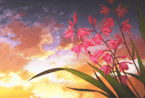 风吹着娇艳的花朵动画图片