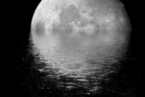 月亮掉进了水里gif图片
