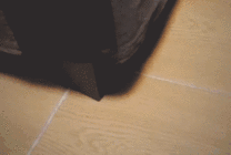 小猫咪从柜子底下钻出来GIF图片