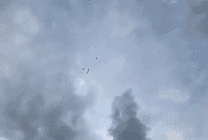 高空滑翔落入水中GIF图片