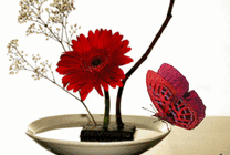 红色的鲜花与蝴蝶gif图片