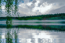 湖边的垂柳GIF图片