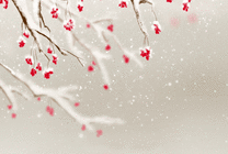 在风雪中开放的梅花gif图片