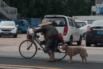 在马路上推自行车的老人gif图片