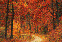 凋零的树叶GIF图片