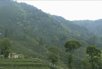 高山绿色风景GIF图片