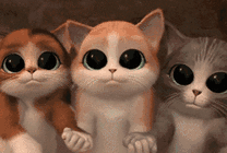大眼睛萌猫猫动画图片