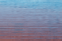 平静的大海GIF图片