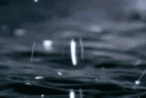 降落的雨滴GIF图片