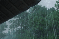 又一年雨季GIF图片