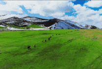 雪山辽阔的草原GIF图片