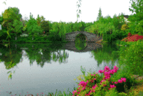 绿色湖畔小桥GIF图片