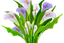 摆动的绿色花卉GIF素材图片
