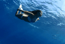 海底潜水的女人GIF图片