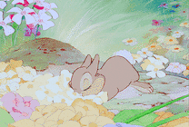 小兔子陶醉表情动画图片
