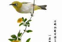 花枝头上的翠鸟动画图片