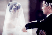 新郎新娘穿着婚纱亲吻gif图片