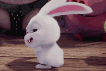可爱的卡通小兔子跳舞gif图片