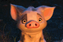 草地上的一只快乐的卡通小猪GIF图片