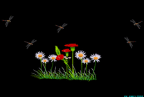 蜻蜓飞来花丛中动画图片