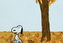 一只可爱的卡通小狗狗在树下吹落叶gif图片