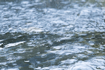 流淌的小溪GIF图片